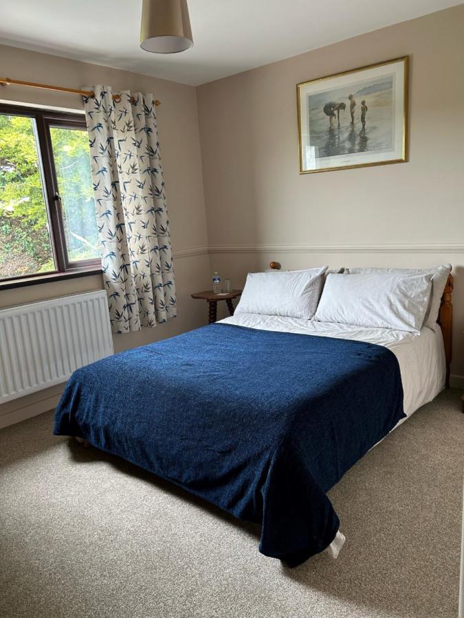 Long View Guest Accommodation Downpatrick Exterior photo